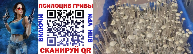 Псилоцибиновые грибы MAGIC MUSHROOMS  Алзамай 